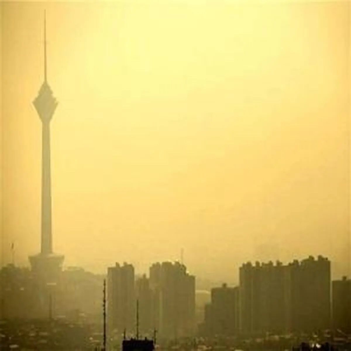 غذاهای مناسب برای مقابله با آلودگی هوا کدامند؟