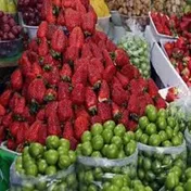 قیمت حیرت‌انگیز گوجه سبز؛ نوبرانه‌ای که همه را شگفت‌زده کرد