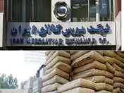 بیش از ۲۰۱ هزار تن سیمان روی تابلو می‌رود