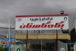 «پنیر» درآمدزاترین محصول پگاه گلستان در آبان ماه