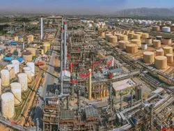 رشد ۴ درصدی نرخ فروش وکیوم باتوم