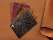 ثبت افزایش سرمایه در 