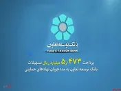پرداخت ۵۴۷۳ میلیارد ریال تسهیلات بانک توسعه تعاون به مددجویان نهاد‌های حمایتی
