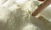 پیگیری حجتی برای آزادی صادرات شیر خشک