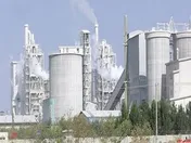 سهامداران حقیقی 