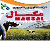 گام «زمگسا» در مسیر پرداخت سود