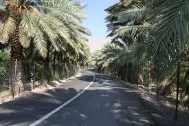 تعیین دقیق میزان خسارت سیل بر مزارع و باغات زمان بر است