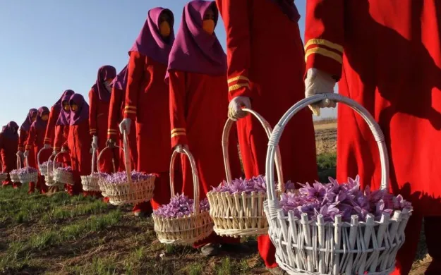 ارتباط با خریداران خارجی زعفران از کانال بورس کالا ضروری است