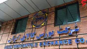 نقدی به بورس کالا/ سازمان پیگیر مداخلات دولت باشد