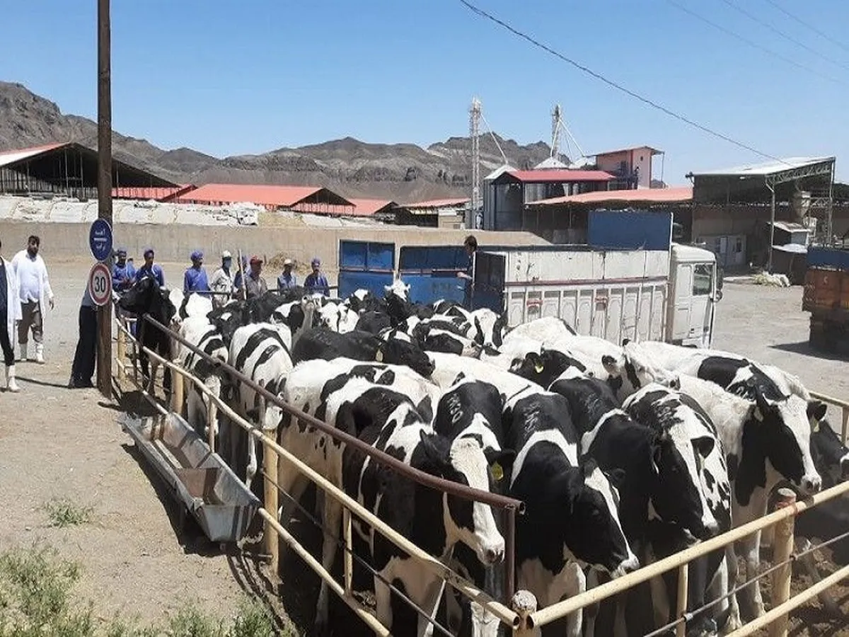 تقسیم سود ۷۶ تومانی در مجمع 