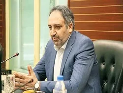 تنها ۵درصد بازار ایران سهم 