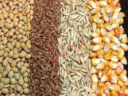 سود تنها ۹۸میلیارد ریالی 