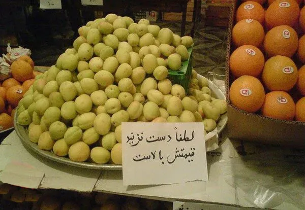 لطفا دست نزنید، قیمتش بالاست/عکس
