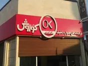 افزایش ۱۹درصدی فروش 