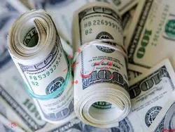 نرخ ۴۶ ارز رسمی تغییر نکرد