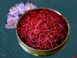 قرارداد اختیار معامله زعفران نگین با سررسید شهریورماه