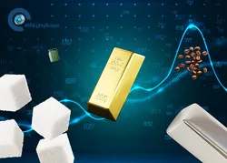 آیا باید نگران افزایش نرخ بهره فدرال رزرو باشیم
