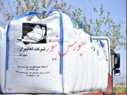 سهامداران 