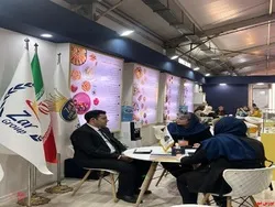 نمایش محصولات متنوع 