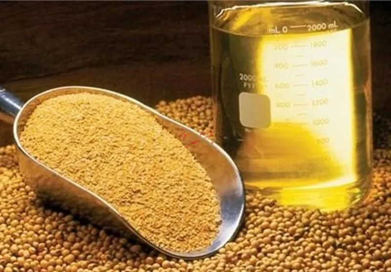 روغن
