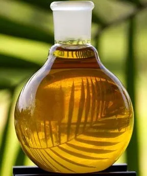 روغن پالم اسید ترانس ندارد/تکذیب ممنوعیت استفاده از پالم در روغن نباتی