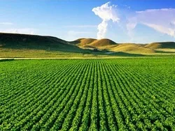 ثبت افزایش سرمایه 