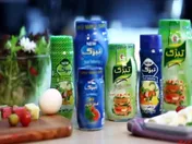 سود ۲۳۰ میلیون ریالی از فروش زمین در 