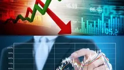 دولت در قیمت گذاری نباید خلاف جهت آب شنا کند