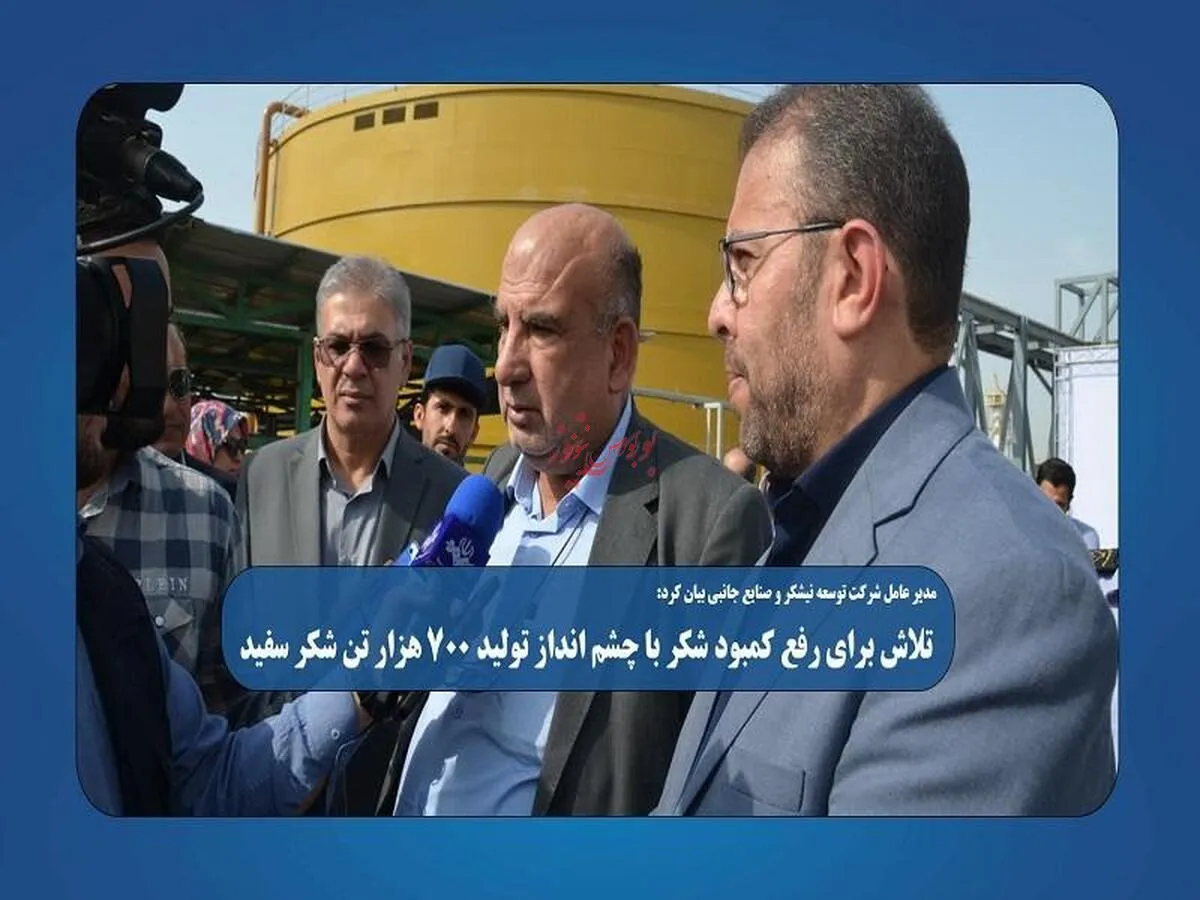تلاش برای رفع کمبود شکر با چشم انداز تولید ۷۰۰ هزار تن شکر سفید
