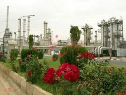 رشد ۶ درصدی نرخ فروش وکیوم باتوم 