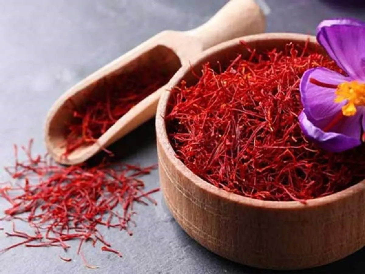 عرضه ۸۰۰ کیلو زعفران رشته‌ای در تالار کشاورزی