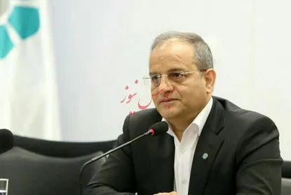عاملیت اجرای طرح‌های ملی باعث ظرفیت‌سازی بانک توسعه تعاون می‌شود