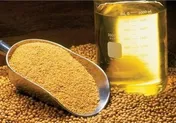 قیمت مرغ کاهش یافت/ افزایش قیمت روغن و لبنیات