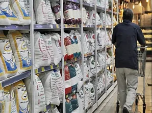 بازگشت رانت‌خواران با برنج پاکستانی/ چای دبش دیگری در راه است؟