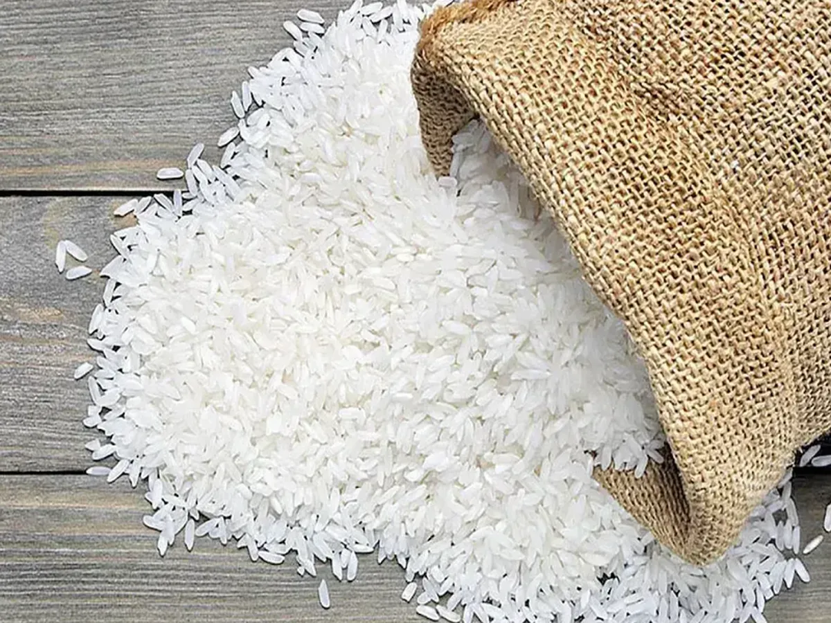 برنج ارزان شد + جزئیات قیمت