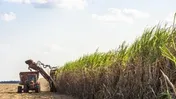 بزرگ‌ترین عرضه بورس در راه است