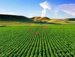 ثبت افزایش سرمایه 