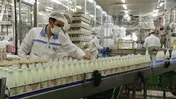 «شیر» و «پنیر» ترین‌های 