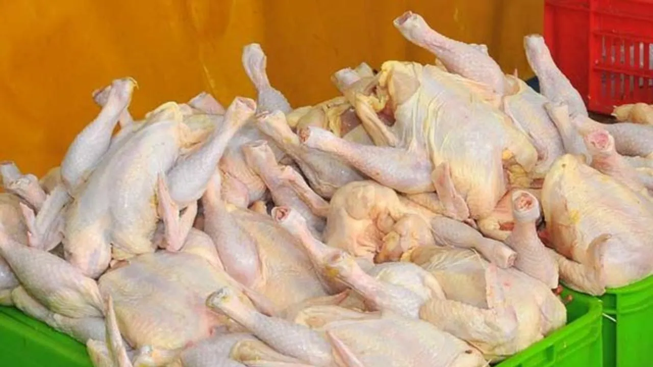 کاهش وزن مرغ گوشتی