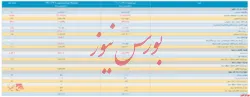 صورت مالی ۱۲ ماهه 
