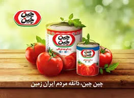 توقف نماد معاملاتی «غچین1»