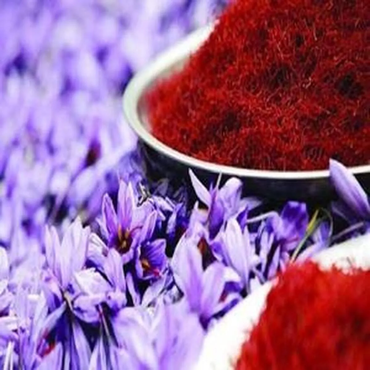 معامله ۶۳۳ کیلوگرم زعفران نگین به ثبت رسید