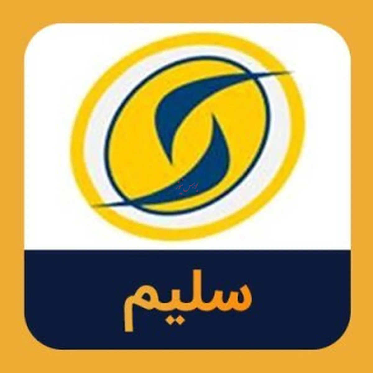 دعوت از سهامداران 