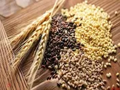 کاهش قیمت جهانی غلات با رسیدن اولین کشتی غلات اوکراین