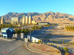 رشد سود 