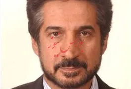 ابهری عضو کمیسیون صنایع مجلس : نوسان شدید سهام خودروسازان را شاهد خواهیم بود