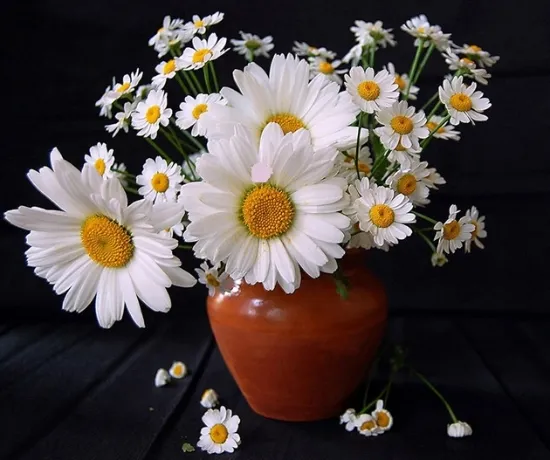 بیایید با هم منطقی و دوستانه گفتگو کنیم