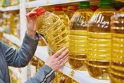 آیا جایگزینی برای واردات دانه‌های روغنی از اوکراین هست