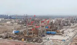 کاهشی بسیار اندک در نرخ وکیوم‌باتوم 