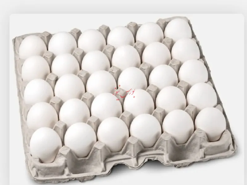 تخم مرغ